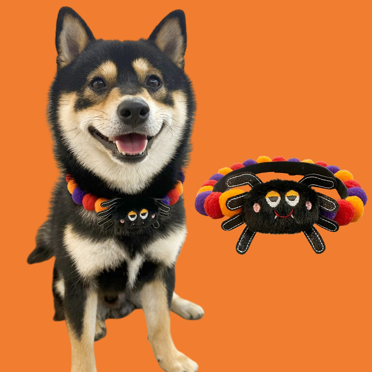 Halloween Pom-Pom Pet Collars & Hat Sets - 01 Large Spider / Collar Only