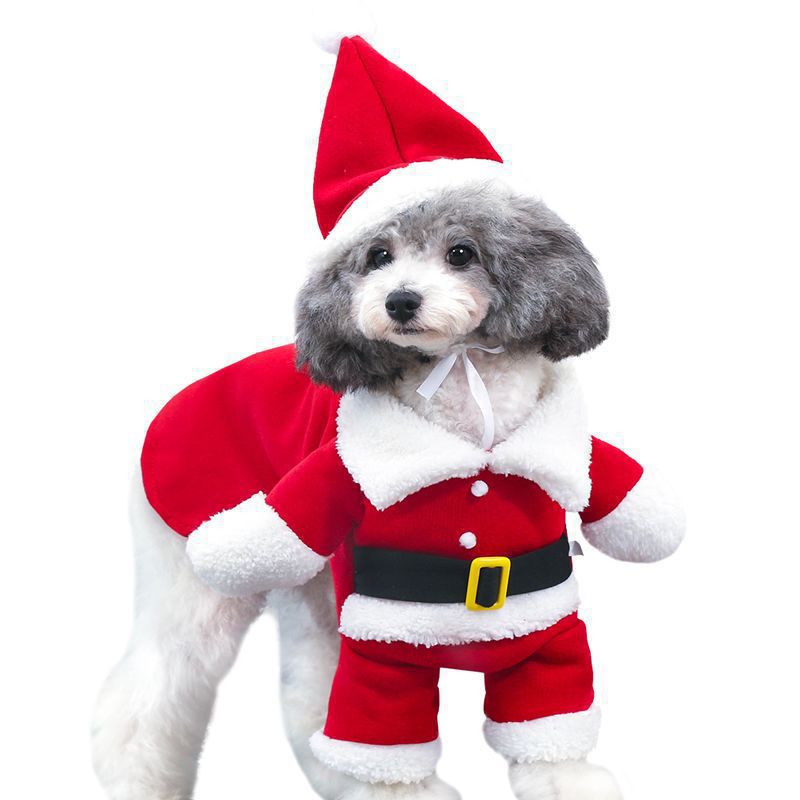 Christmas Pet Outfits and Dresses - Santa Outfit (Red)