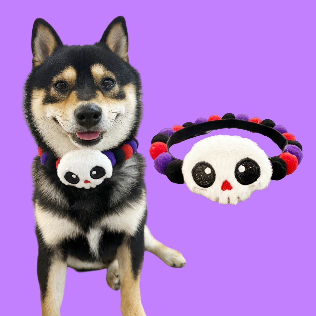 Halloween Pom-Pom Pet Collars & Hat Sets - 07 Large Skull / Collar Only