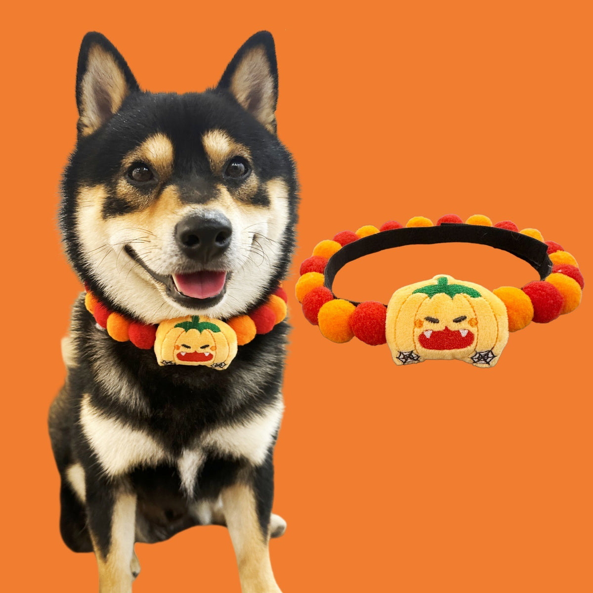 Halloween Pom-Pom Pet Collars & Hat Sets - 09 Green Leaf Pumpkin / Collar Only