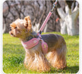 Colorful Dog Harness & Leash Options - PinkHarness / 2 m Leash