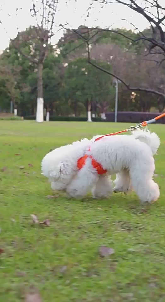Everyday Ergonomic No-Pull Dog Harness & Leash Set