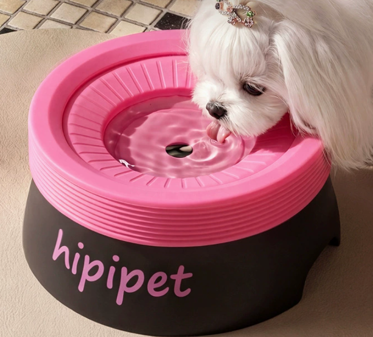 Pet Water Bowls – Floating Plate and Collapsible Options