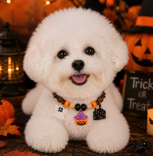 Adjustable Halloween Pet Necklace – Finished or DIY Kit