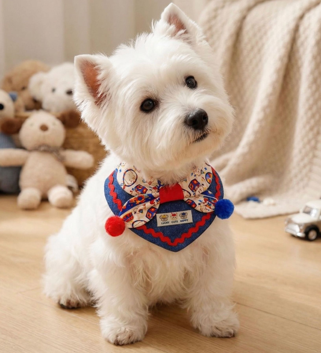 Whimsical Circus Harlequin Pet Collar & Frill Bandana