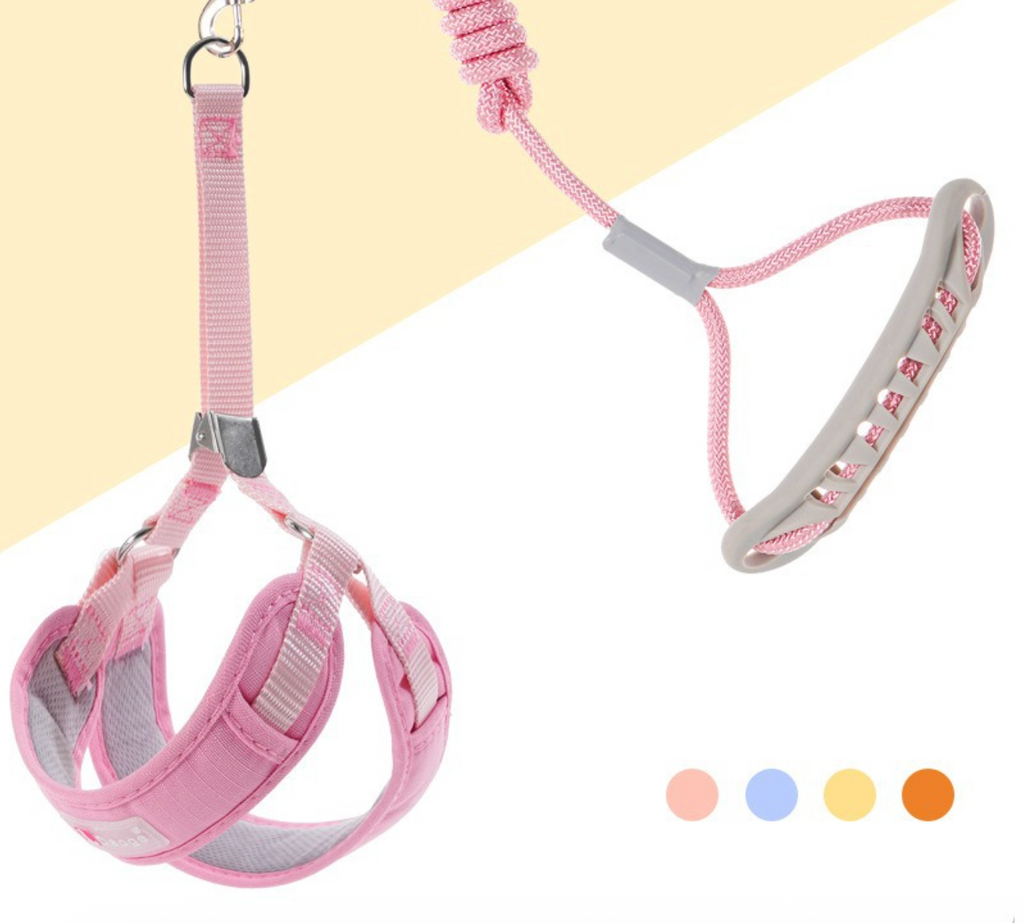 Everyday Ergonomic No-Pull Dog Harness & Leash Set