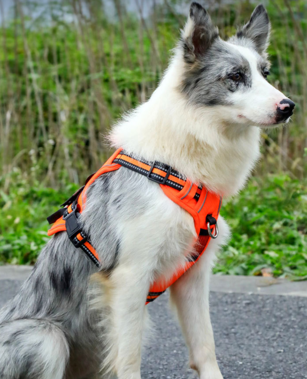 Tactical Heavy-Duty Reflective No-Pull Dog Harness
