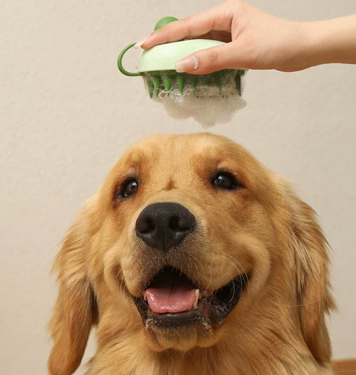 2-in-1 Pet Bath Shampoo Dispenser & Silicone Massage Brush
