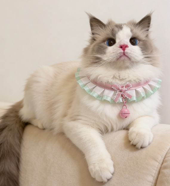 French Chic Butterfly Lace & Bow Pet Choker Collar