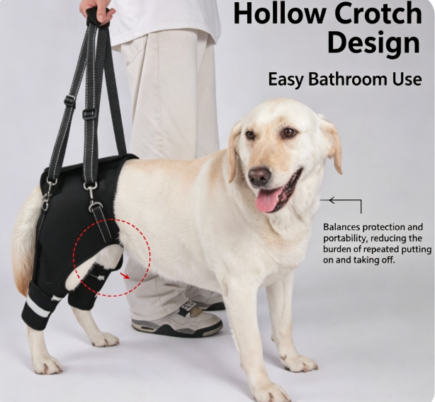 Orthopedic Rear-Leg Mobility Lift Harness & Support Sling