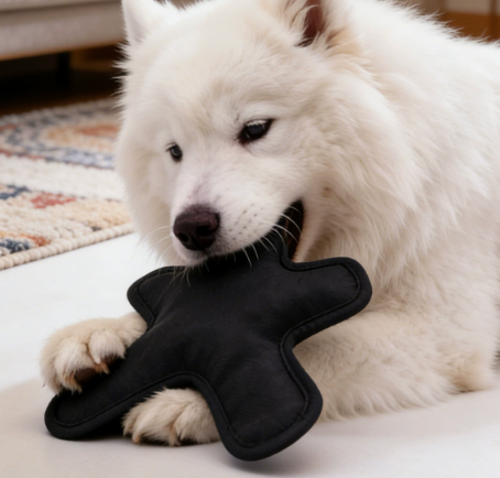 Oxford Fabric Crinkle Dog Toy