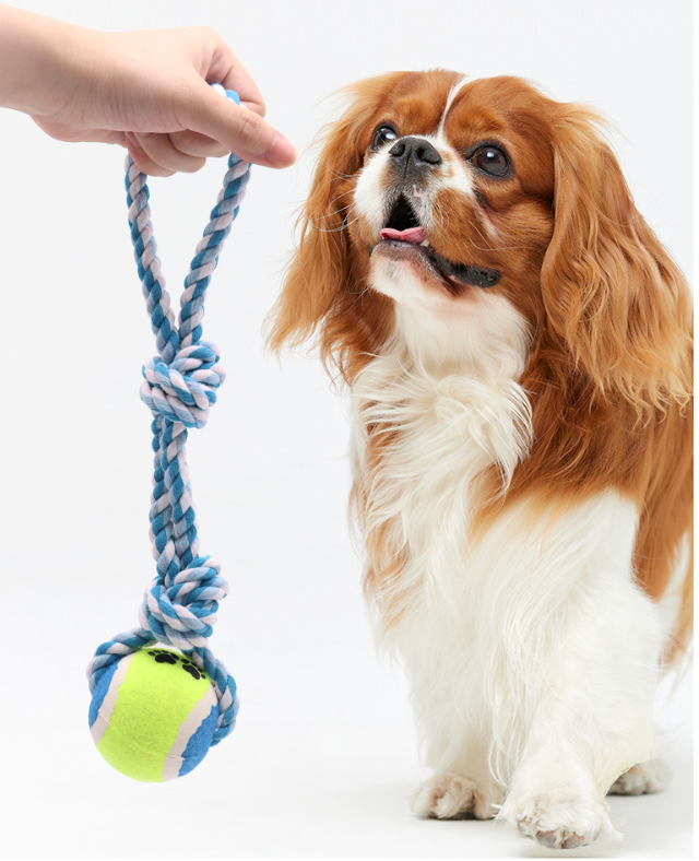 Cotton Rope Dog Toy