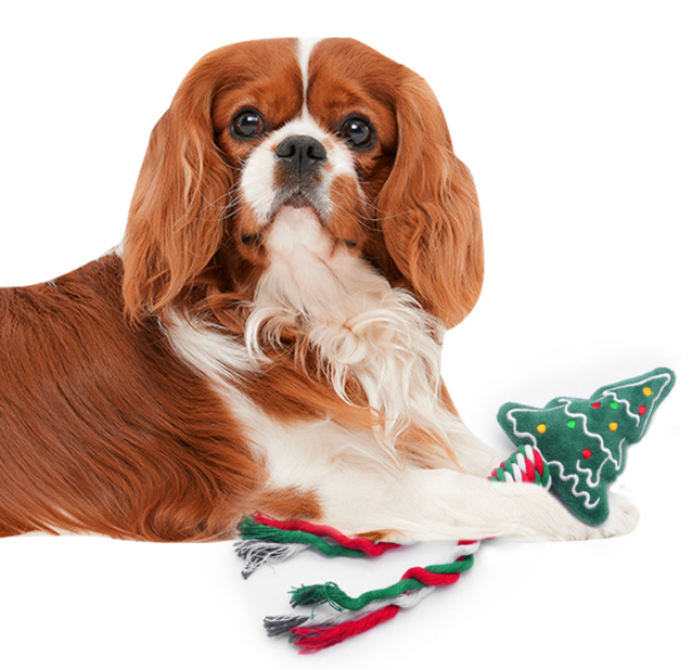 Christmas Rope Dog Toy