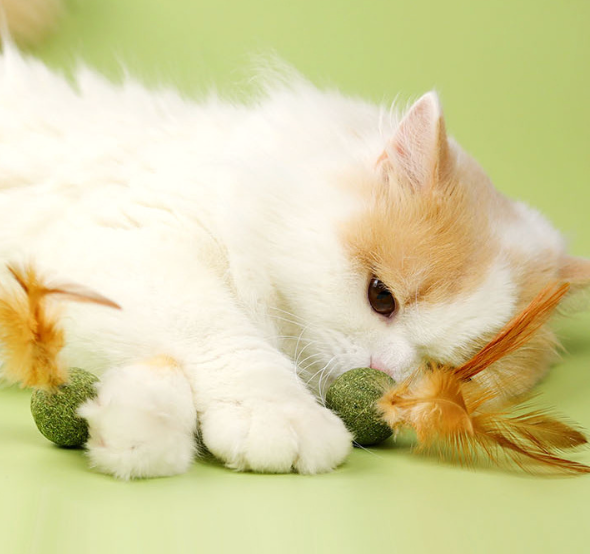 Catnip Feather Ball