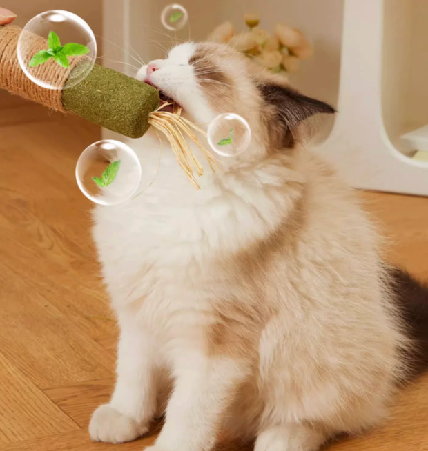 Catnip Stick & Silvervine Cat Toy
