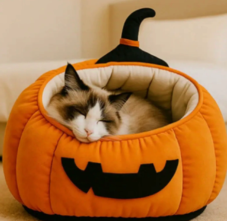 Pumpkin Pet Bed | Halloween Cave Bed for Cats & Dogs