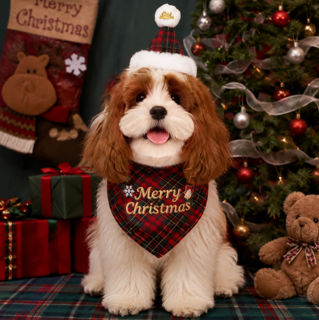 Festive Plaid Christmas Pet Bandana & Santa Hat Set - Holiday Outfit for Dogs and Cats